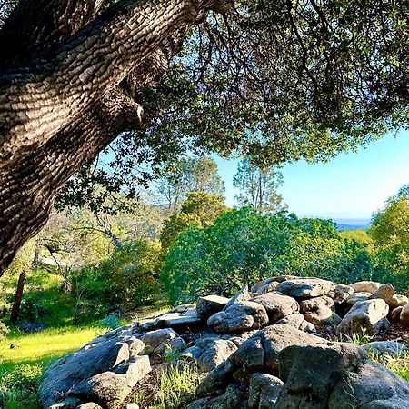 فيلا Emerald Ranch Of Yosemite كورسيغولد المظهر الخارجي الصورة
