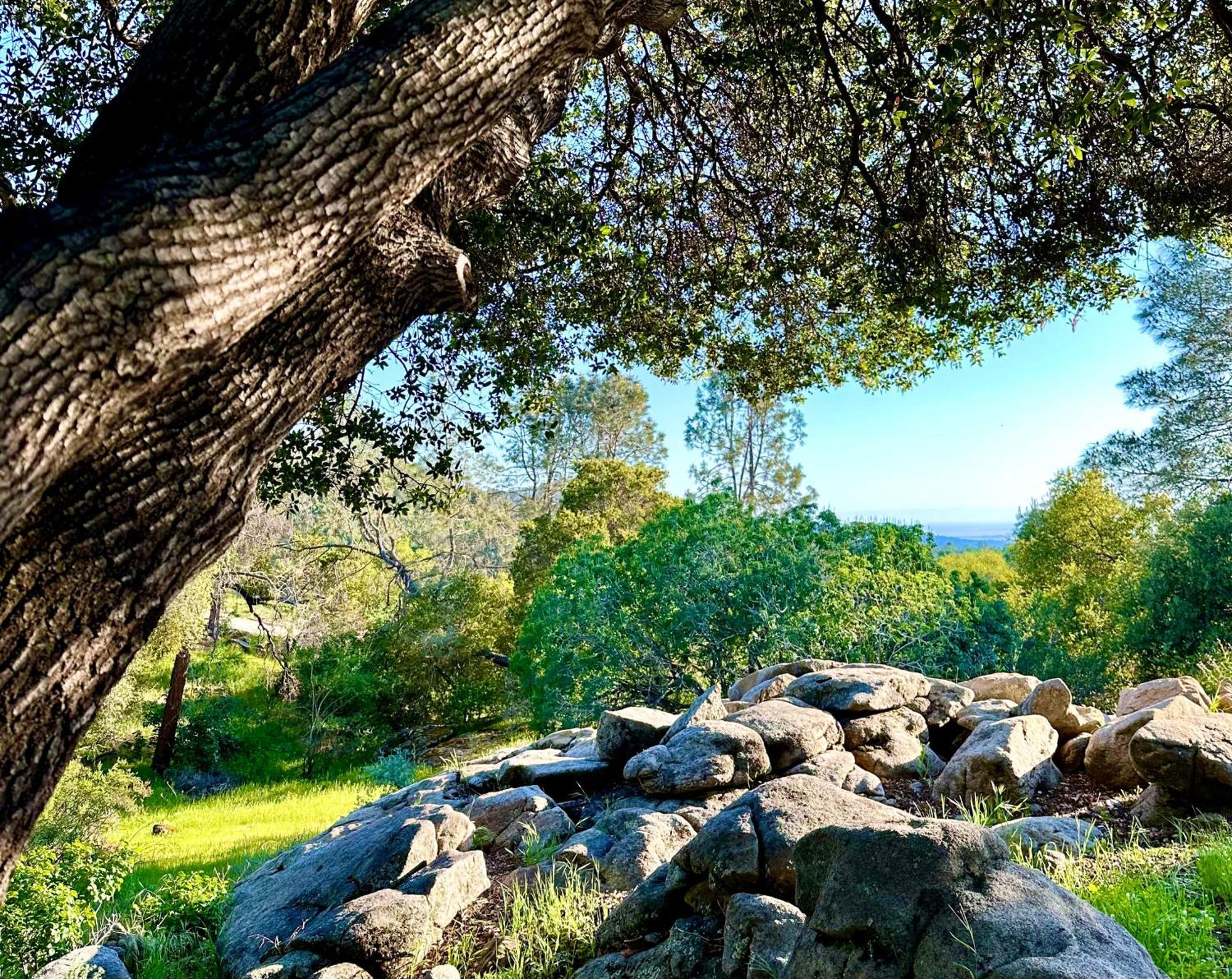 فيلا Emerald Ranch Of Yosemite كورسيغولد المظهر الخارجي الصورة